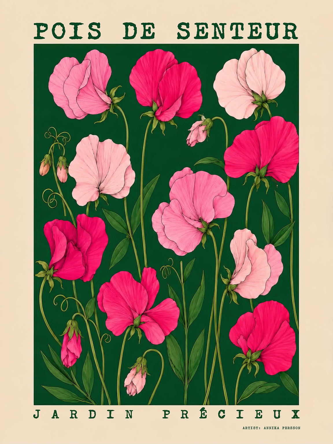 Pois de Senteur sweet pea poster by Annika Persson